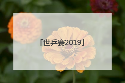 「世乒赛2019」世乒赛2019男单决赛 樊振东