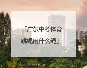 「广东中考体育跳绳用什么绳」广东中考体育跳绳评分标准
