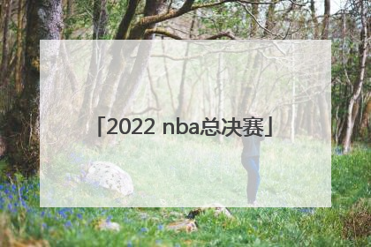 「2022 nba总决赛」2022nba总决赛数据统计