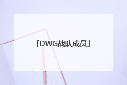 「DWG战队成员」DWG战队成员介绍